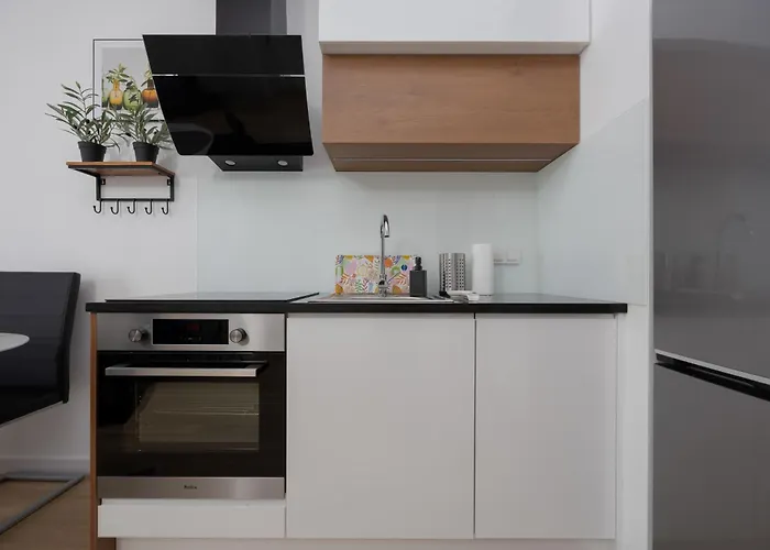 Spacious Near Paley And Medicover-handelsmana 2nd